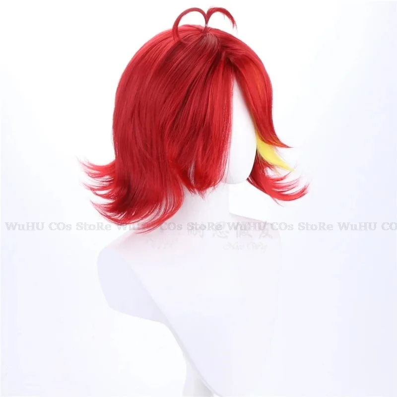 2025 하스빈 코스 니프티 가발 애니메이션 호텔 코스 - Anime Cosplay With Red Hair 리뷰 및 가격